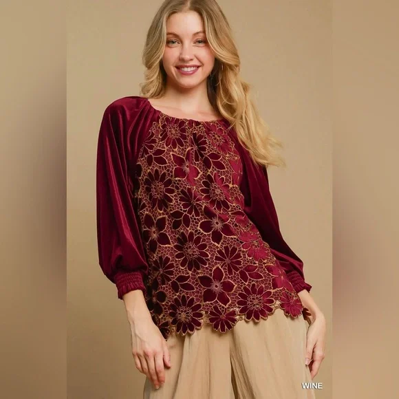 #305 FIRM 🌸New! Gorgeous Velvet Embroidered Top - Picture 2 of 4